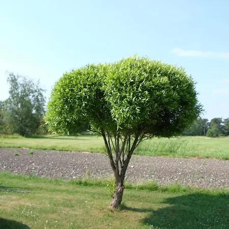 Braendoe Bike And Bed Pensjonat