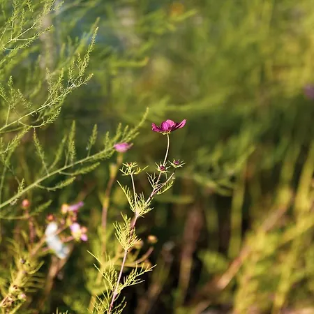 Braendoe Bike And Bed *