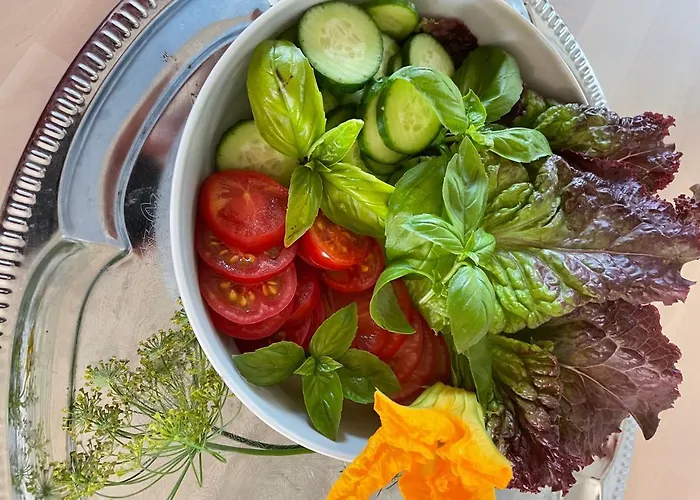 Braendoe Bike And Bed