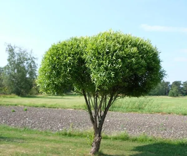 Braendoe Bike And Bed Gæstehus