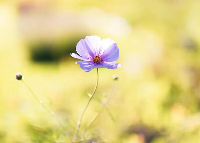 Gæstehus Braendoe Bike And Bed *